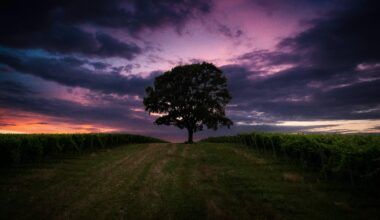 Sunset in Hungary