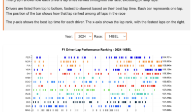 [OC] F1: Laps ranked & sorted by driver in each race