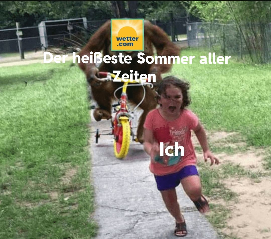 Ich_iel