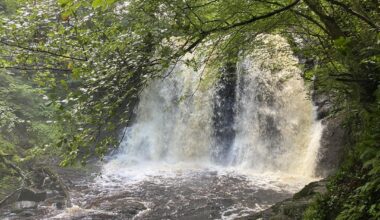 Glenariff forest today, beautiful spot.