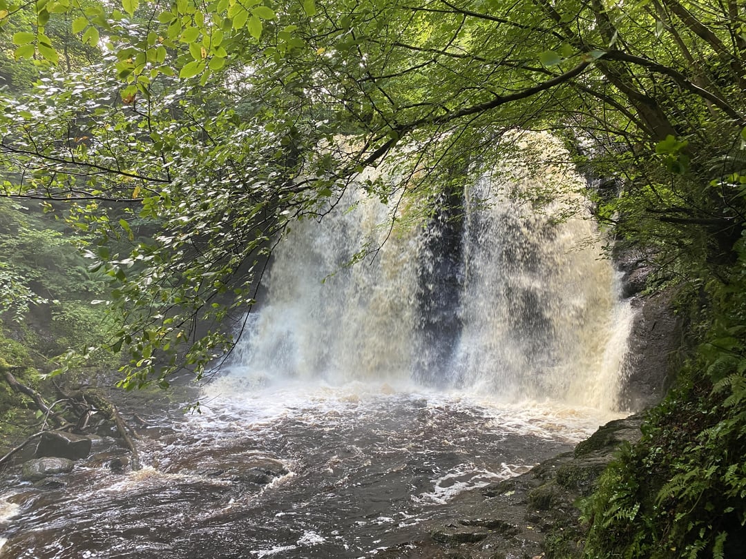 Glenariff forest today, beautiful spot.