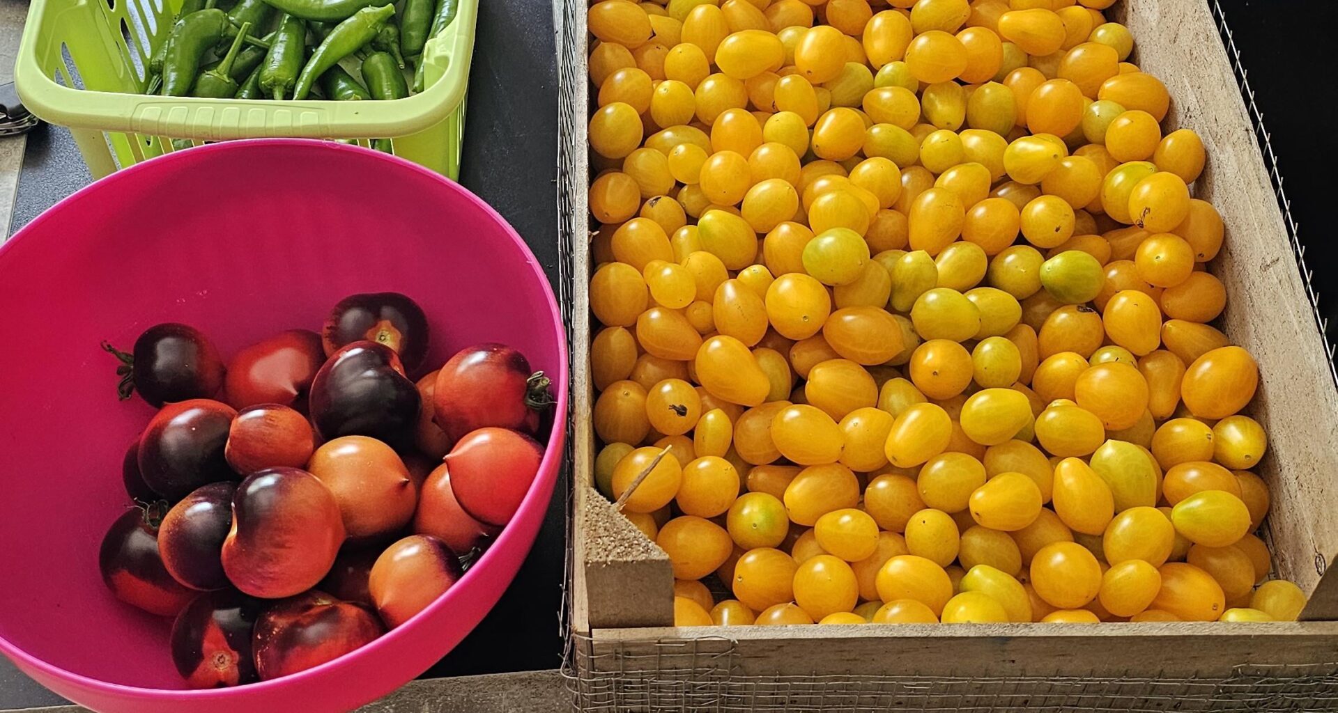 Jetzt hab ich den (Tomaten) Salat