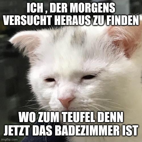 ich😵‍💫iel