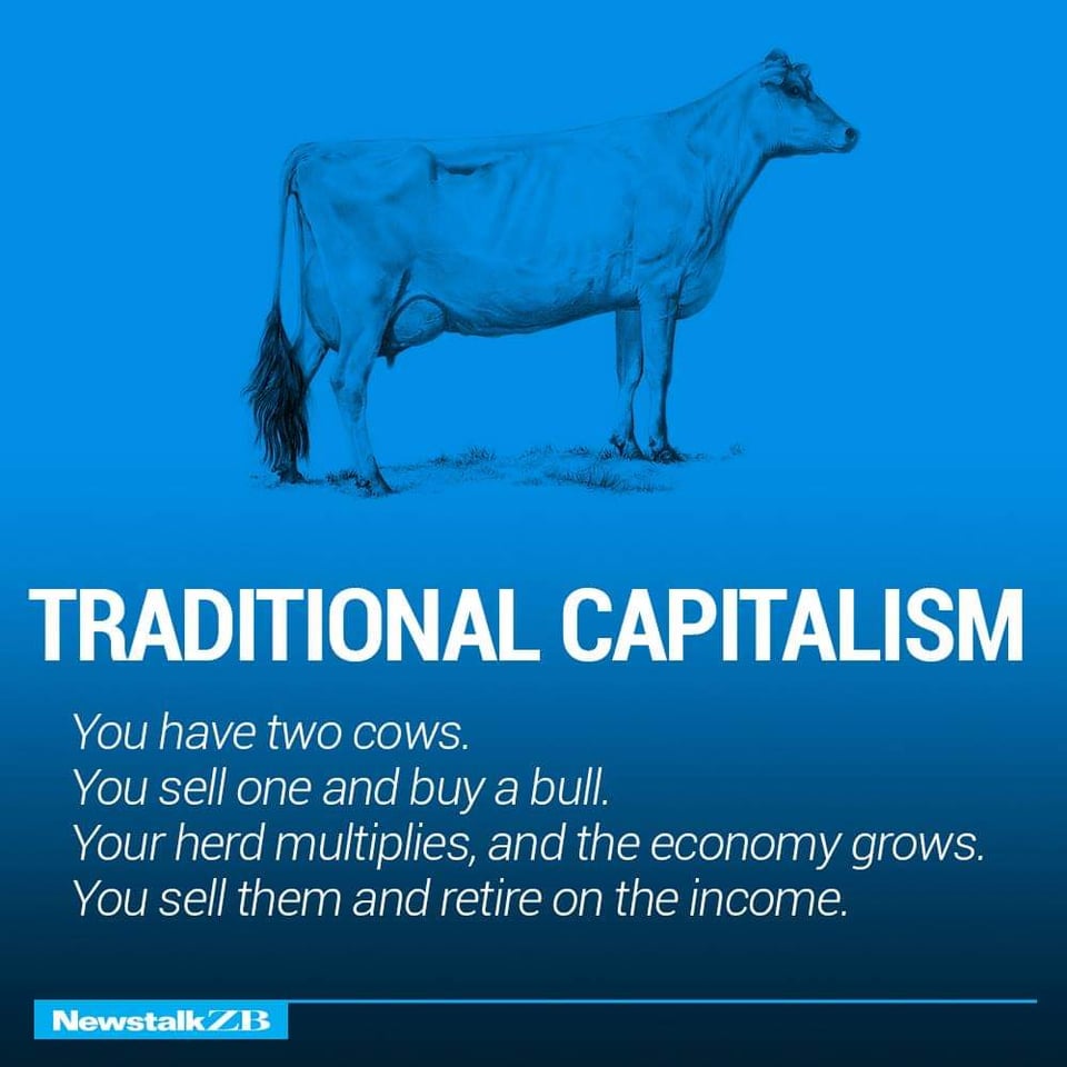 European economics explained with cows