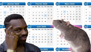 En 2025, voilà où il faudra placer vos congés pour maximiser les vacances