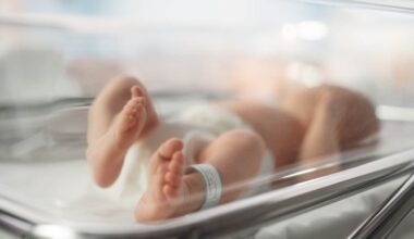 Mortality in Ukraine in 2024 is three times higher than birth rate