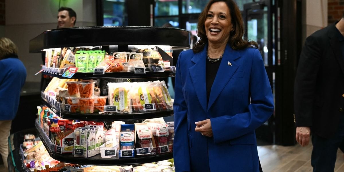 Amid GOP Freakout, Expert Says Harris Is 'Exactly Right' to Target Price Gouging