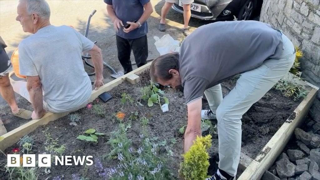 Couple filmed destroying flowerbed in Flintshire village row