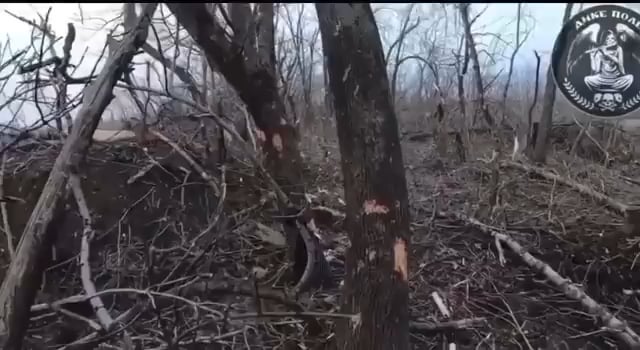 Assault on enemy positions by Ukrainian soldiers of the Dyke Pole Company of the 67th Brigade.