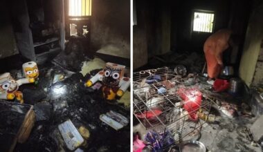 Temples burnt, houses attacked: How Hindus have become soft targets in Bangladesh