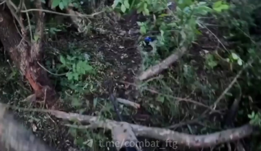 French Volunteer fighting in the Donetsk Region