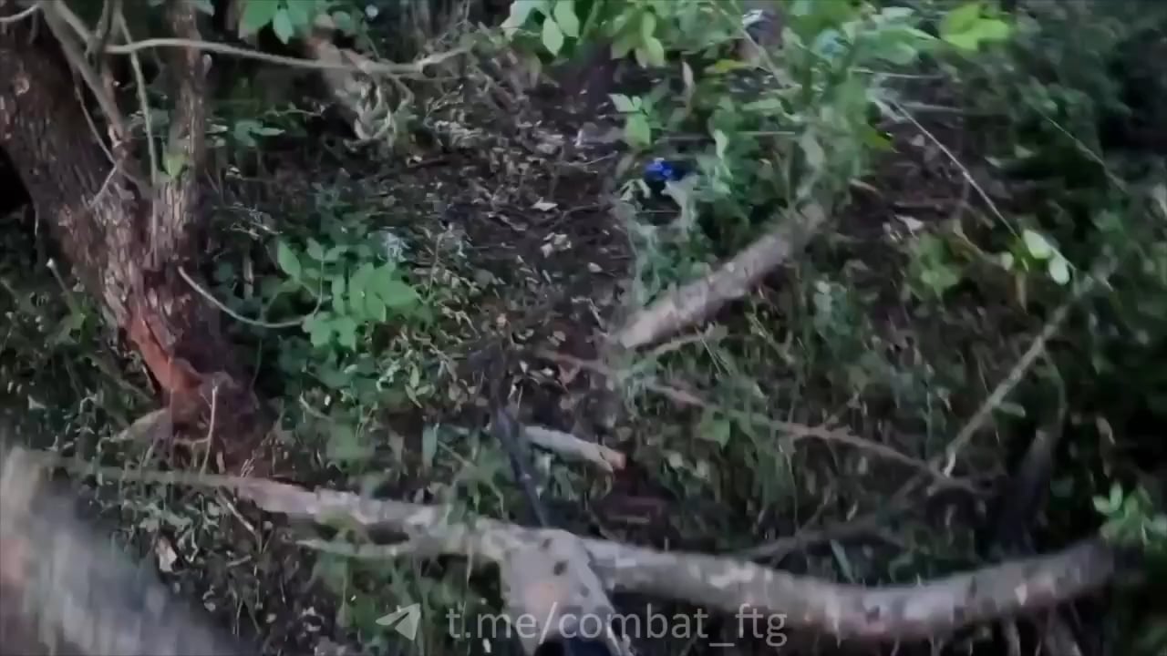 French Volunteer fighting in the Donetsk Region