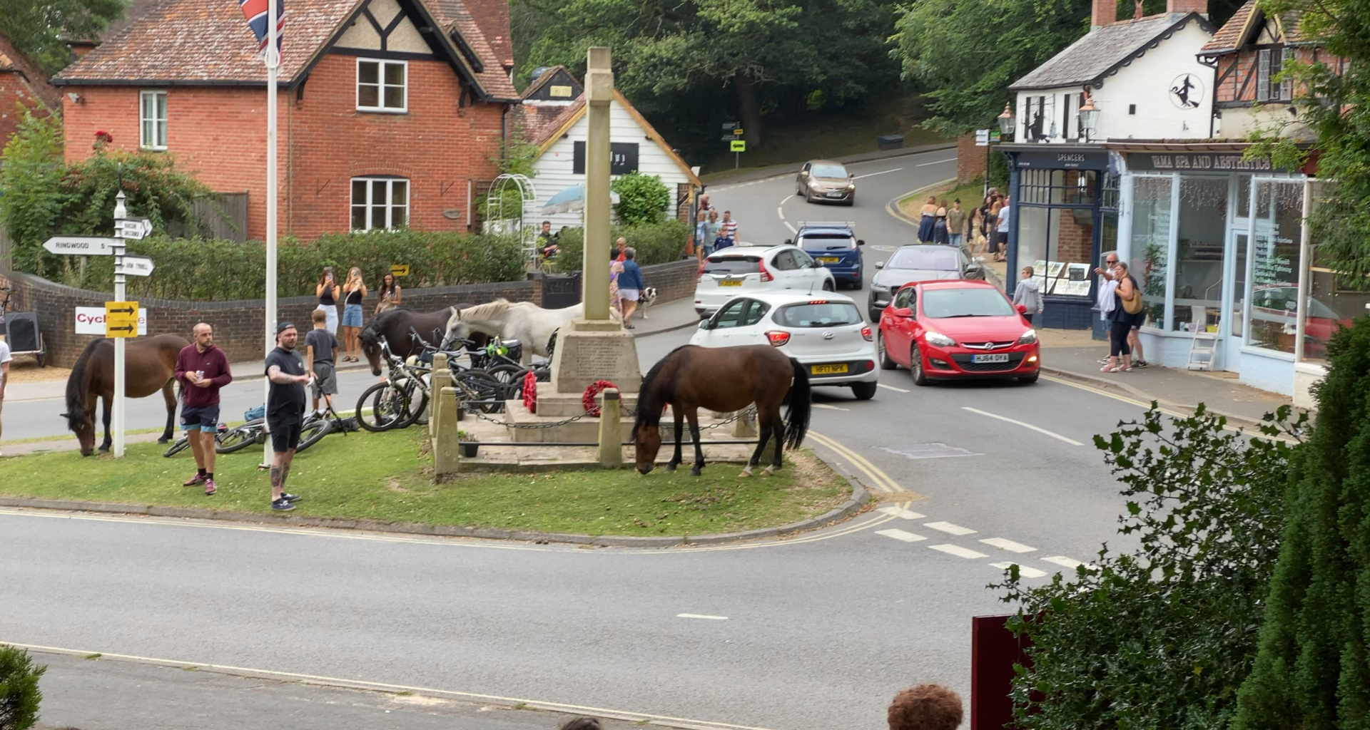 The England they don’t tell you about. New Forest area.