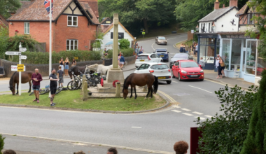 The England they don’t tell you about. New Forest area.