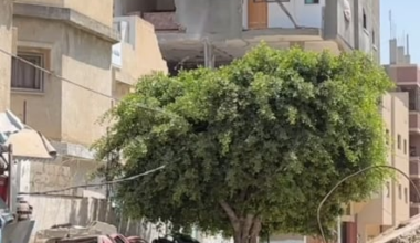 Massive airstrike in Nuseirat filmed from two angles after an evacuation alert, August 2024