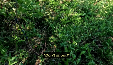 The Ukrainian soldiers captured a Russian radio and tricked two Russian soldiers into refraining from firing at them.