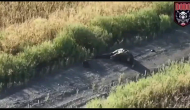 Ukrainian drone drops VOG grenade on Russian soldier and severed his head