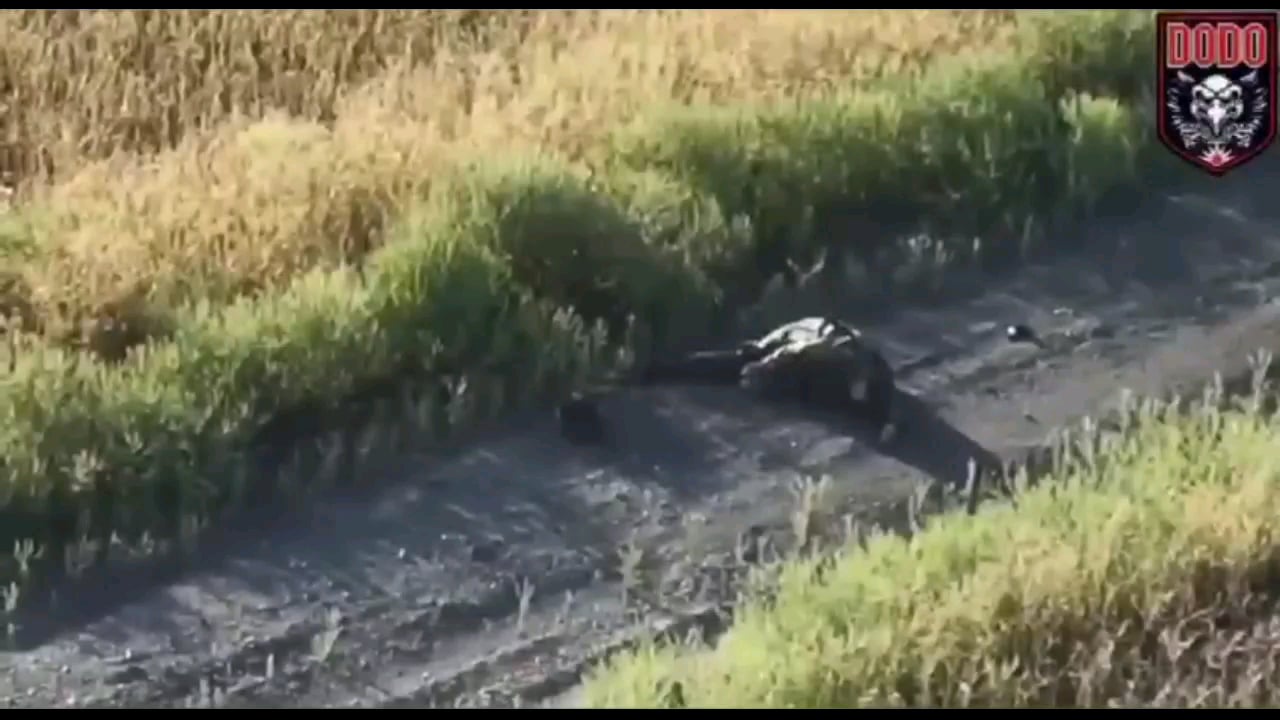 Ukrainian drone drops VOG grenade on Russian soldier and severed his head