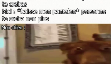 Pas encore toi médor…