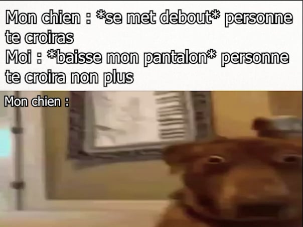 Pas encore toi médor…