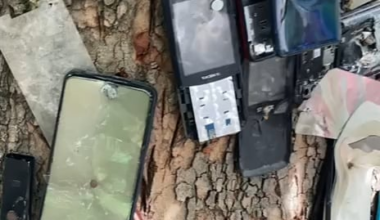 Russian cellphones pinned to a tree.