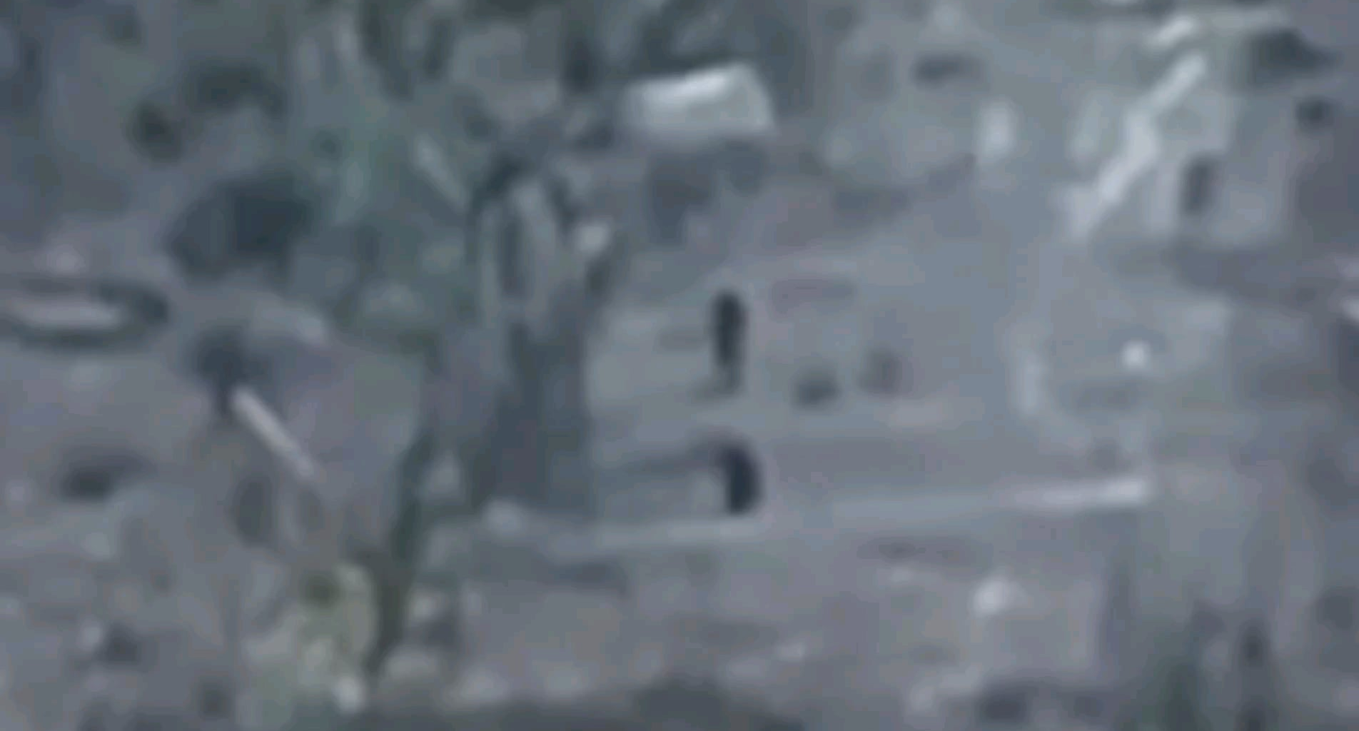 Drone footage of apparent Russian shooting their own comrade and running away