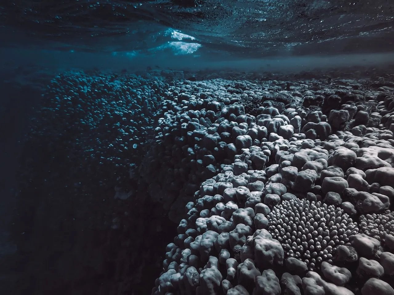 La perte d'oxygène dans l'eau de la Terre s'accélère: vers un nouveau point de basculement ?