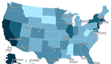 Average Dental Hygienist Salary by U.S States 2024