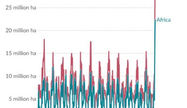 Perspective on the magnitude of African wildfires where 22 million hectares recently burned in a week