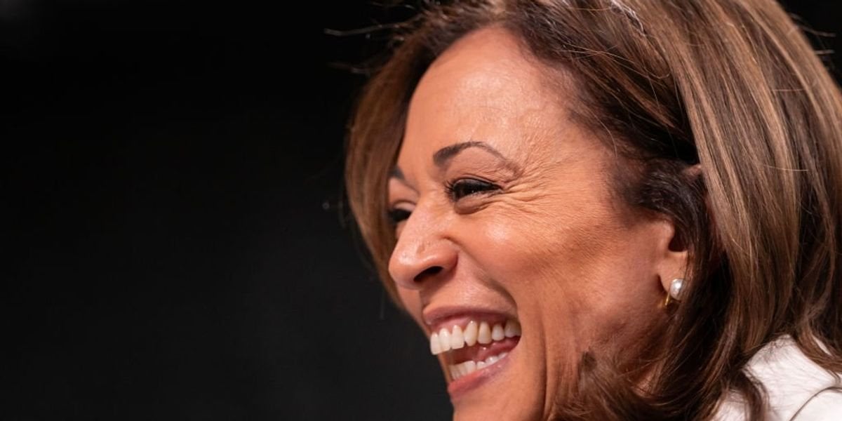 'This is huge': Trump-loving piece of Florida said to be 'taken over' by Harris campaign