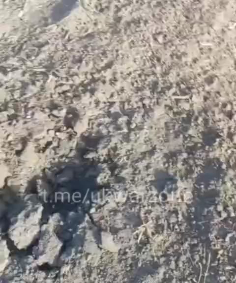 A Ukrainian soldier records the arrival of two Russian RBK-500 cluster glide bombs and shows the area of impact as well as a submunition