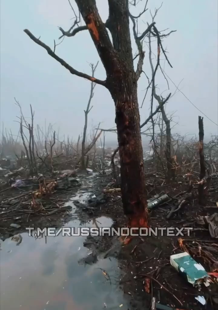 Russians visiting aftermath from some battle during winter.