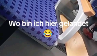 Ich_iel