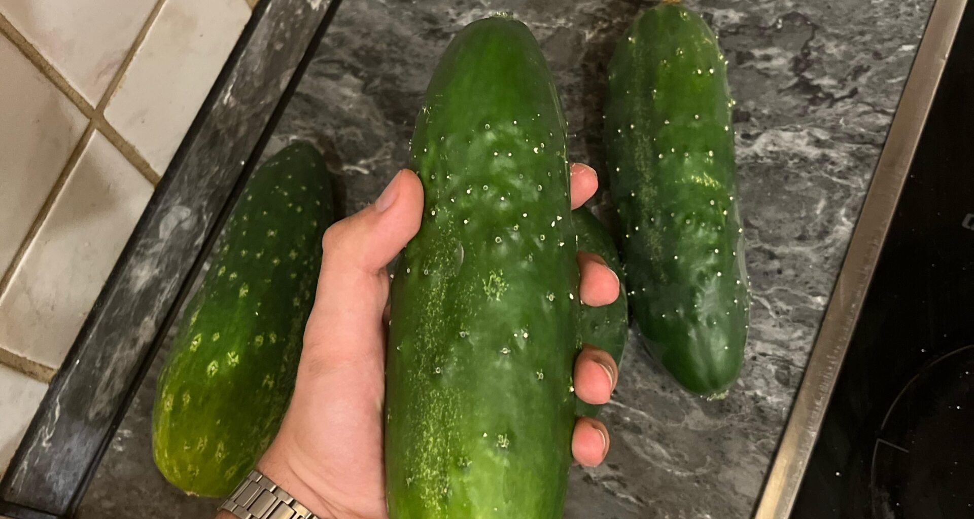 Wie soll man diese Biester einlegen?🥒