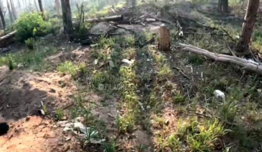 Russian soldier in the Kreminna forest shoots an FPV drone with one shot and then meets up with his squad to get ready to leave