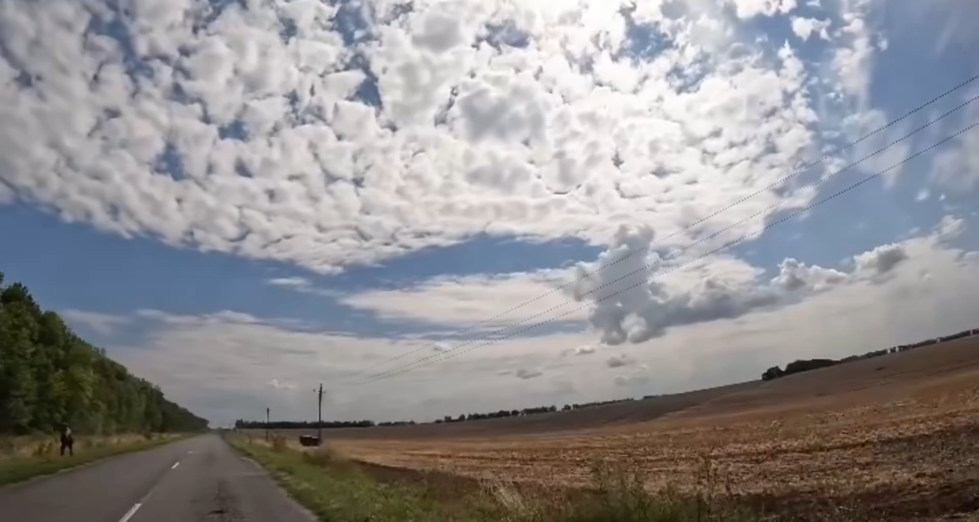 Footage of Ukrainian paratroopers in an ambush of Russian vehicles and taking prisoners in Kursk (August 2024)