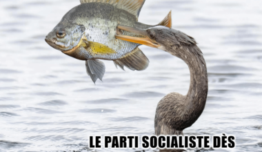 Comment ? Qu'entends-je ? Le PS ne soutient pas la procédure de destitution du président initiée par LFI ? (J'ai pris ça, mais il y aura bien une autre occasion avant la fin de la semaine...)