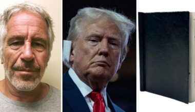 Jeffrey Epstein’s Infamous ‘Little Black Book’ Hits Auction Block — Including Personal Numbers for Donald Trump and Robert F Kennedy Jr