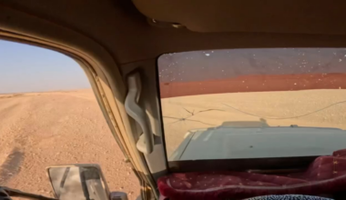 Iraqi tribesmen of Al Jughaifa chasing fleeing isis fighters in Hawran valley, footage from today.