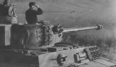 Tiger tanks of Schwere Panzer-Abteilung 503 in action around Kursk in the Summer of 1943