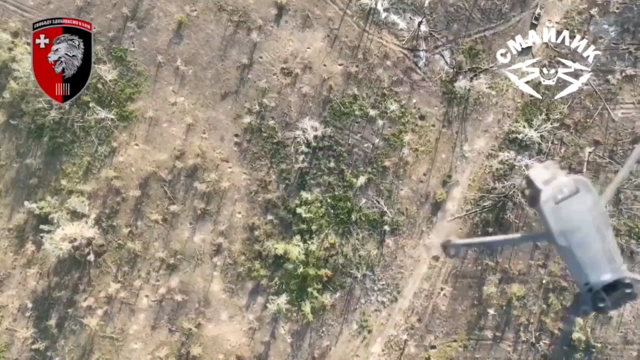 Ukrainian Mavic rammed a Russian Mavic which lost control and crashed to the ground. Operator of the 63rd Separate Mechanized Brigade. East of the village of Terny, Donetsk region. August 28, 2024