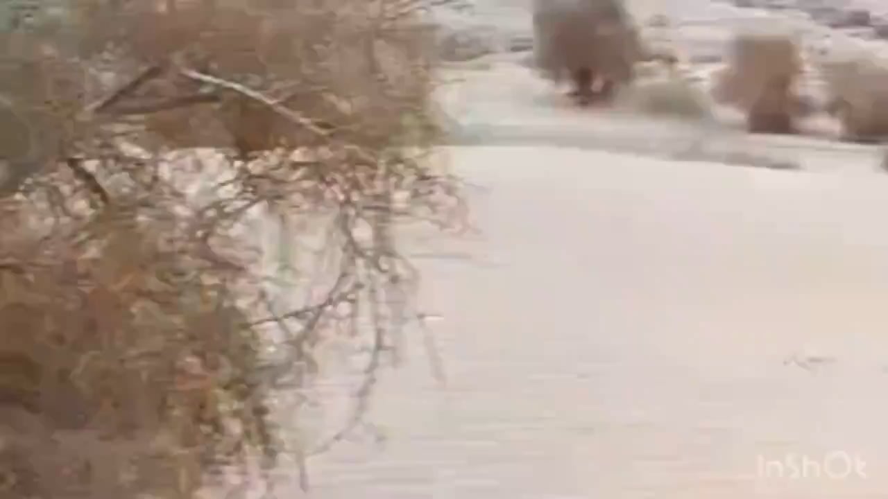 More footage showing the Tuareg rebels attack on the PMC Wagner group in Mali.