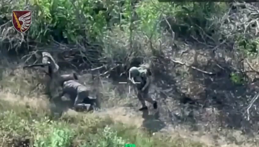 Russian soldiers under the influence of alcohol or drugs attacked by drone drops from the 79th Air Assault Brigade