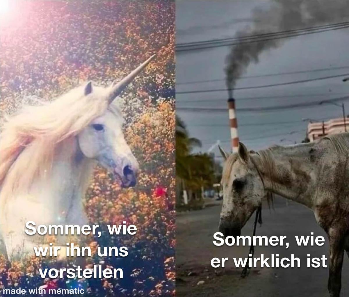 ich😎☀️iel