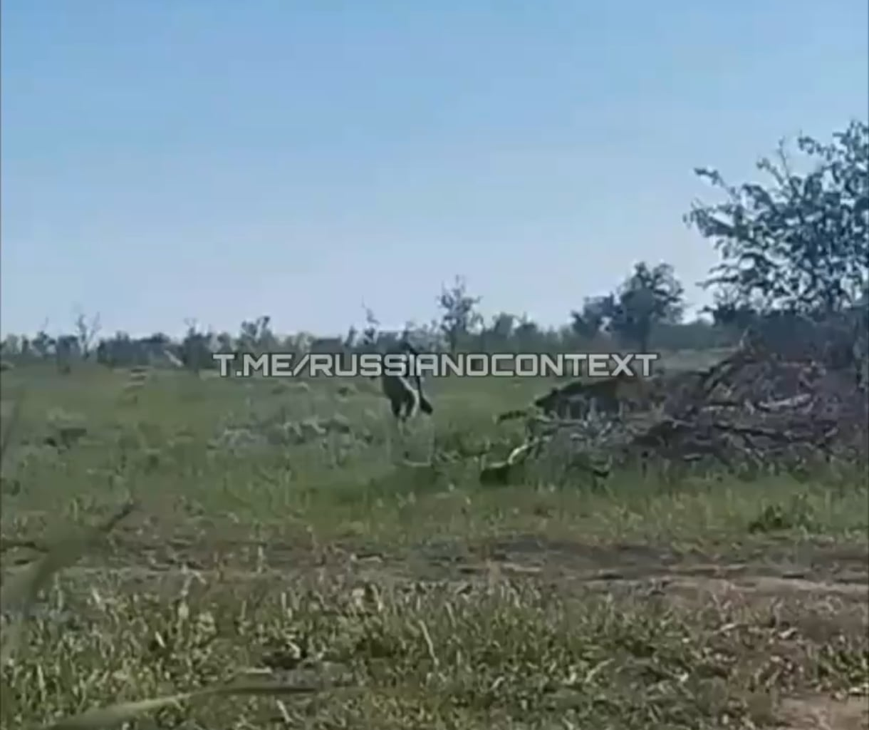 Russian Sapper throws anti-tank mine