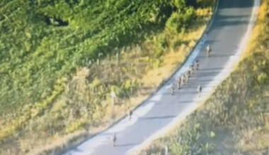 Ukrainian troops moving Russian prisoners of war in the Kursk oblast