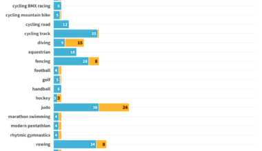 [OC] 2024 Summer Olympics: Total medals by disciplines and level of economic development