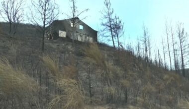 Comment le Portugal a-t-il réussi à réduire le nombre d'incendies en seulement six ans ?