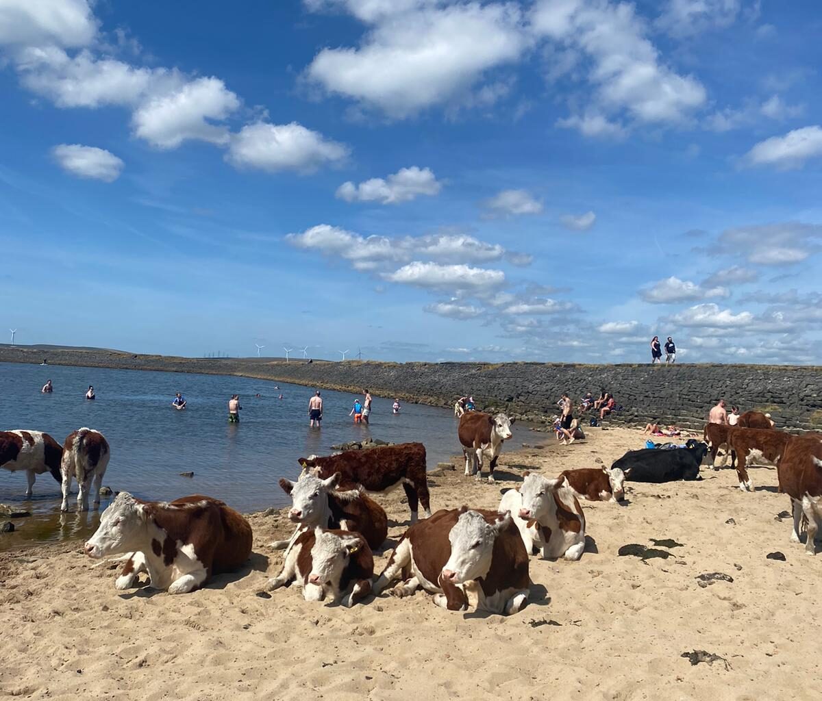 Highest beach in England today