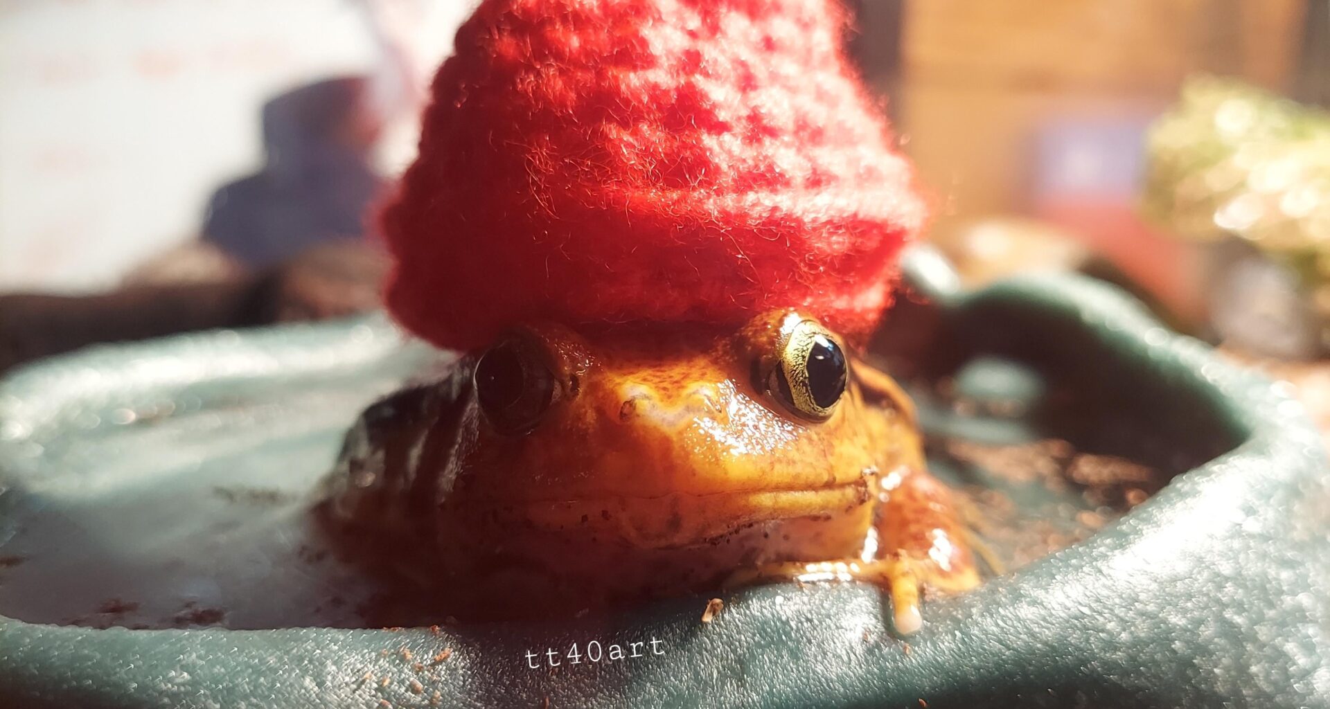 Watching those little Phryges dance gave me an idea. Behold: My frog, Lenny, rocking some handmade Phrygian swag.